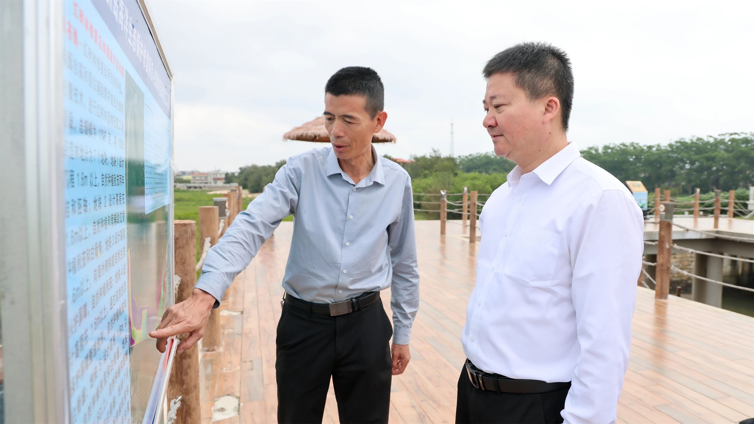 湄洲岛管委会主任带队指导乡村振兴工作