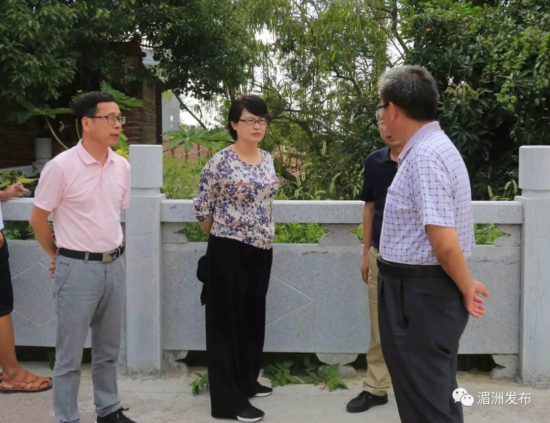 林韶雯带队督查环保工作提出了这些要求